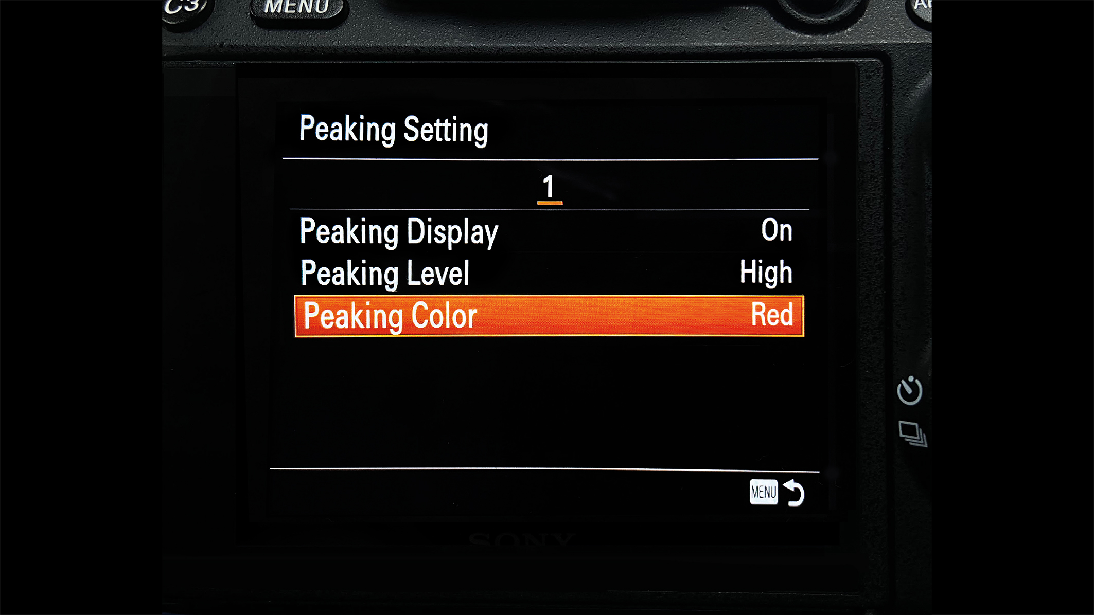 In-camera Feature