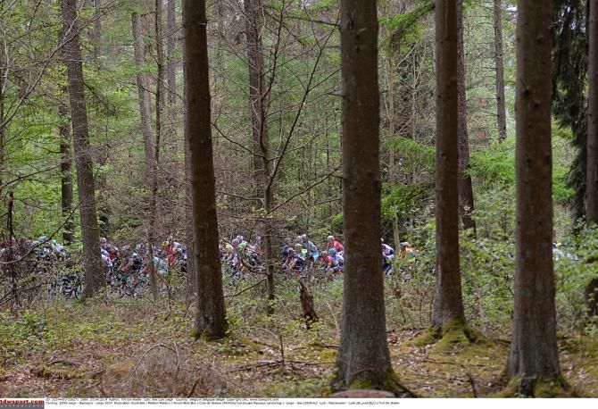 The peloton heads through the forest to the C&ocirc;te de Wanne
