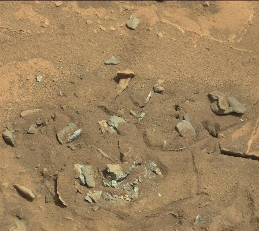 Thigh Bone On Mars Is Just Another Rock Nasa Says Space
