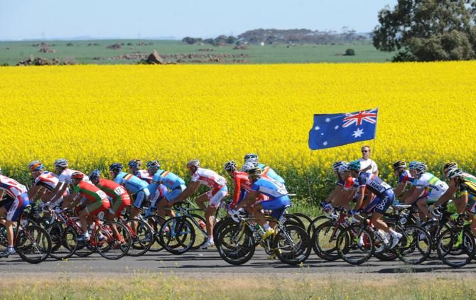 2010 Worlds: The peloton in action in Geelong, Australia