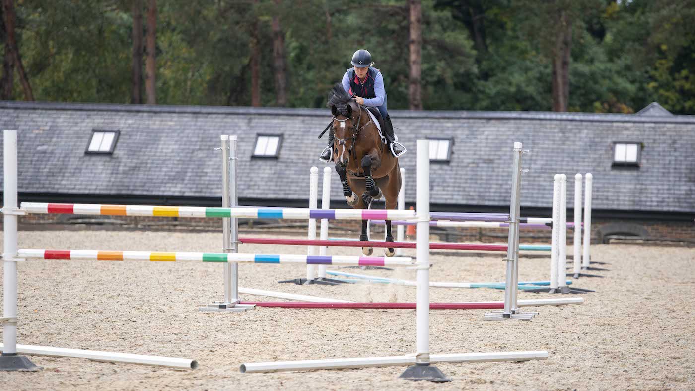 Gridwork with horses