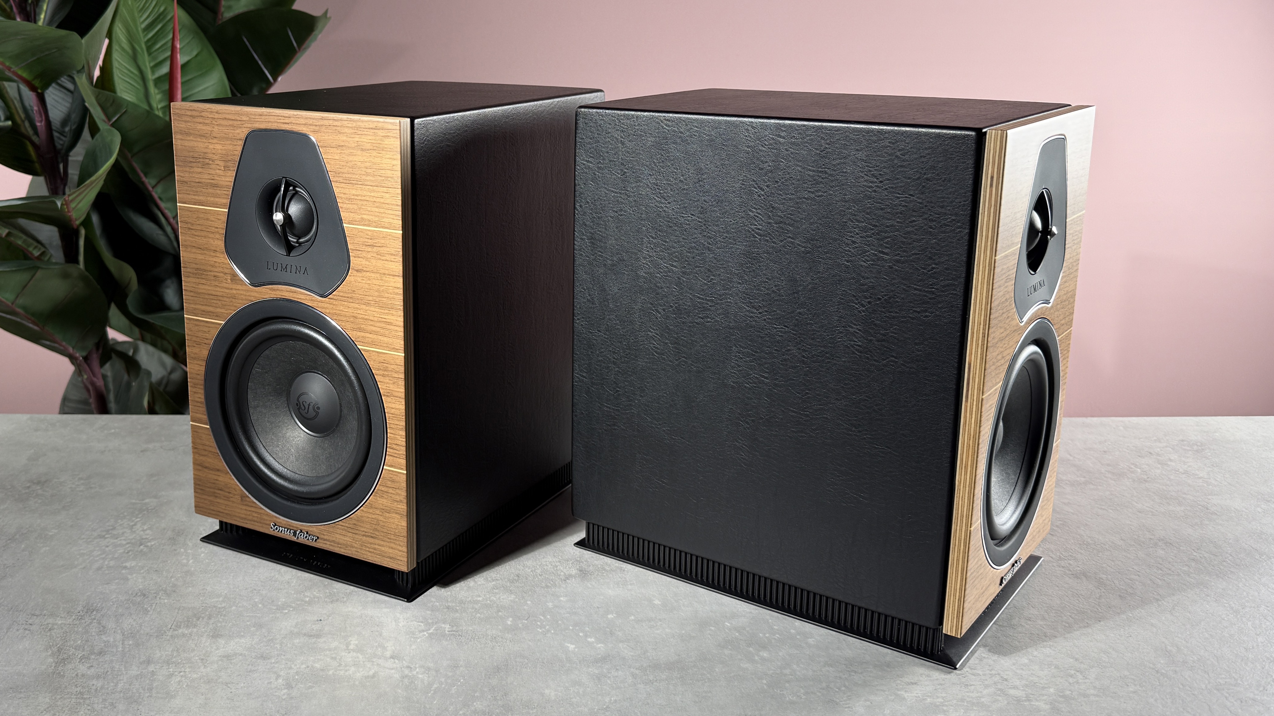 Sonus Faber Lumina II on a stone surface