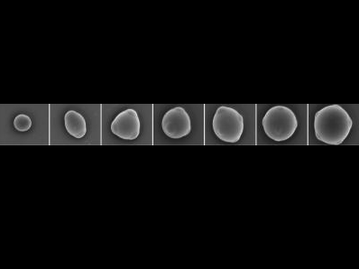 These are electron microscope images of "colloidal atoms," micrometer-sized particles with patches that allow bonding only along particular directions. From left to right: particle with one patch (analogous to a hydrogen atom), two, three, four (analogous to a carbon atom), five, six, and seven patches.