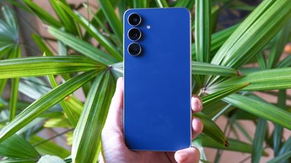 Samsung Galaxy S25 FE in hand with long green leaves behind