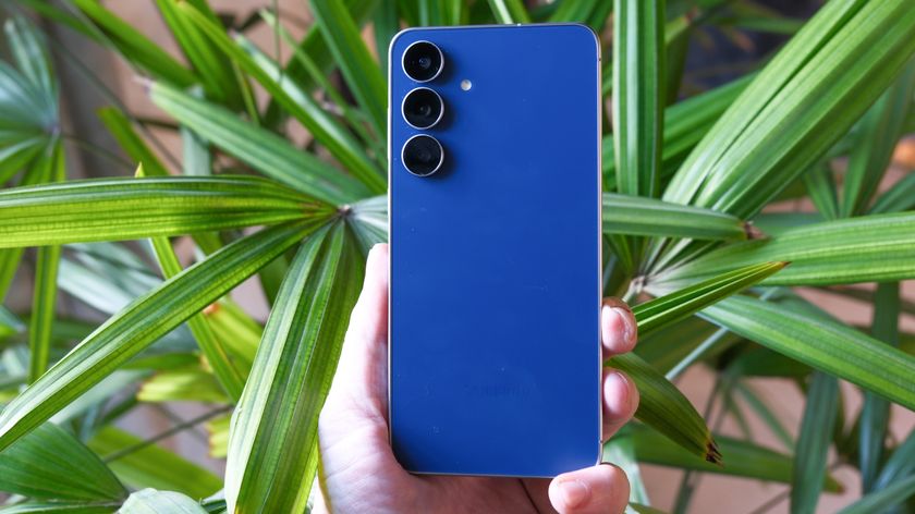 Samsung Galaxy S25 FE in hand with long green leaves behind