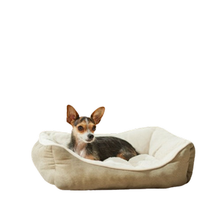 Frisco Faux Suede Bolster Dog Bed, one of the best cat beds