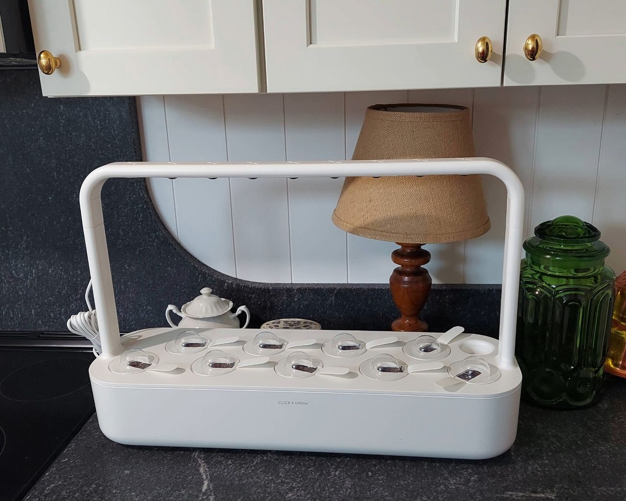 Click and Grow Smart Garden 9 on kitchen counter