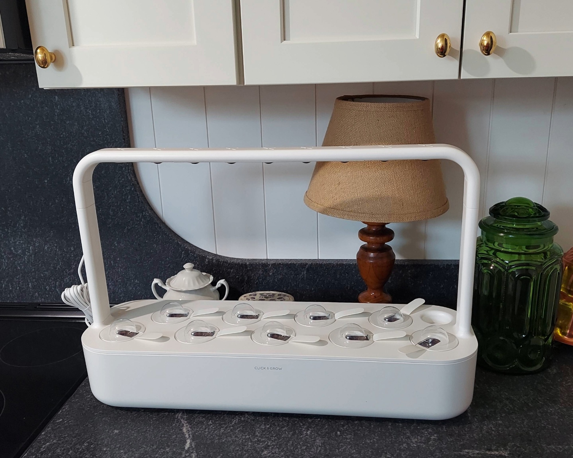 Click and Grow Smart Garden 9 on kitchen counter