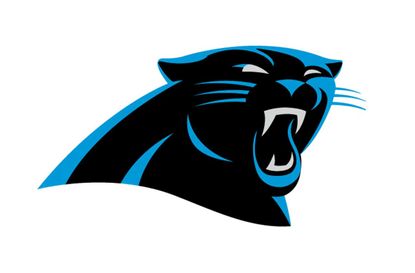 14. Carolina Panthers