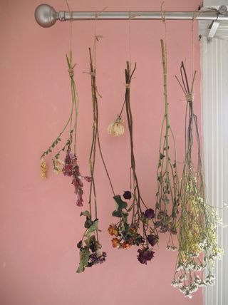 dried flowers hanging from a rail, pink wall behind