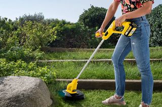 Best cordless strimmer guide