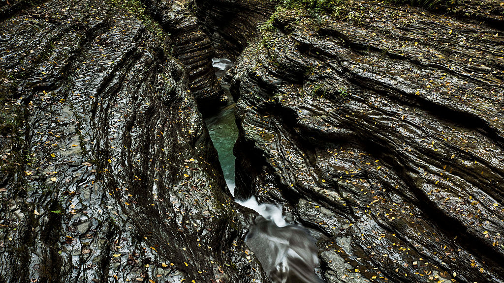 Gorge in Watkins Glen State Park