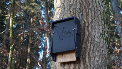 best bat boxes