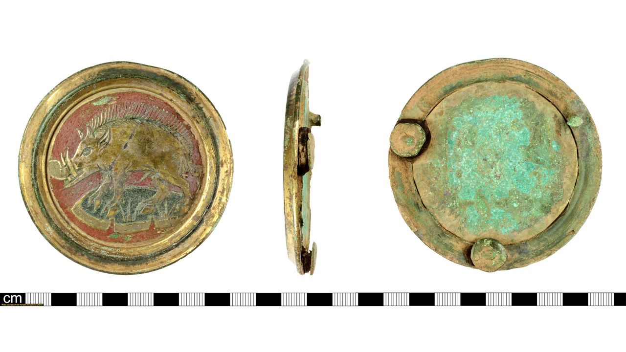 The medieval belt mount, featuring the white board of Richard III.