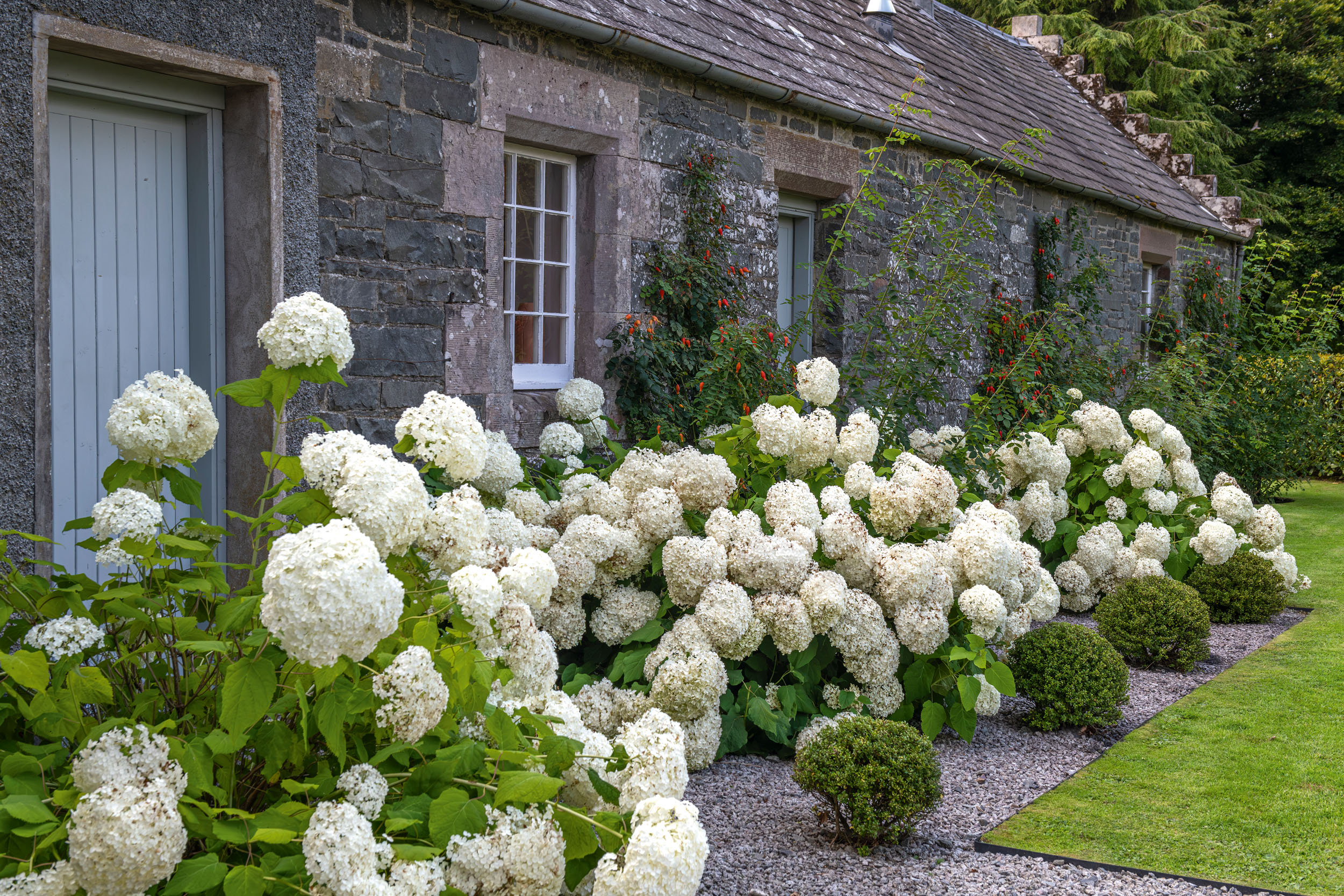 The garden at Craichlaw House
