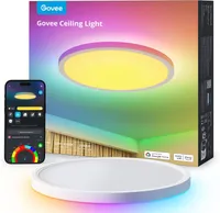 Govee LED Ceiling Light