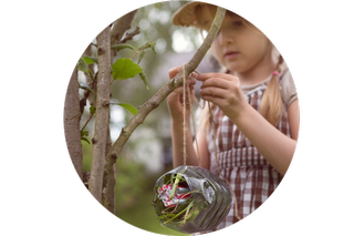 A child tying a bug hotel to a branch