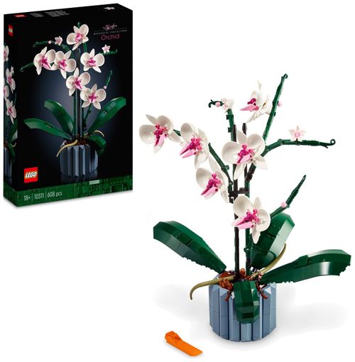 Orchid Plant 10311