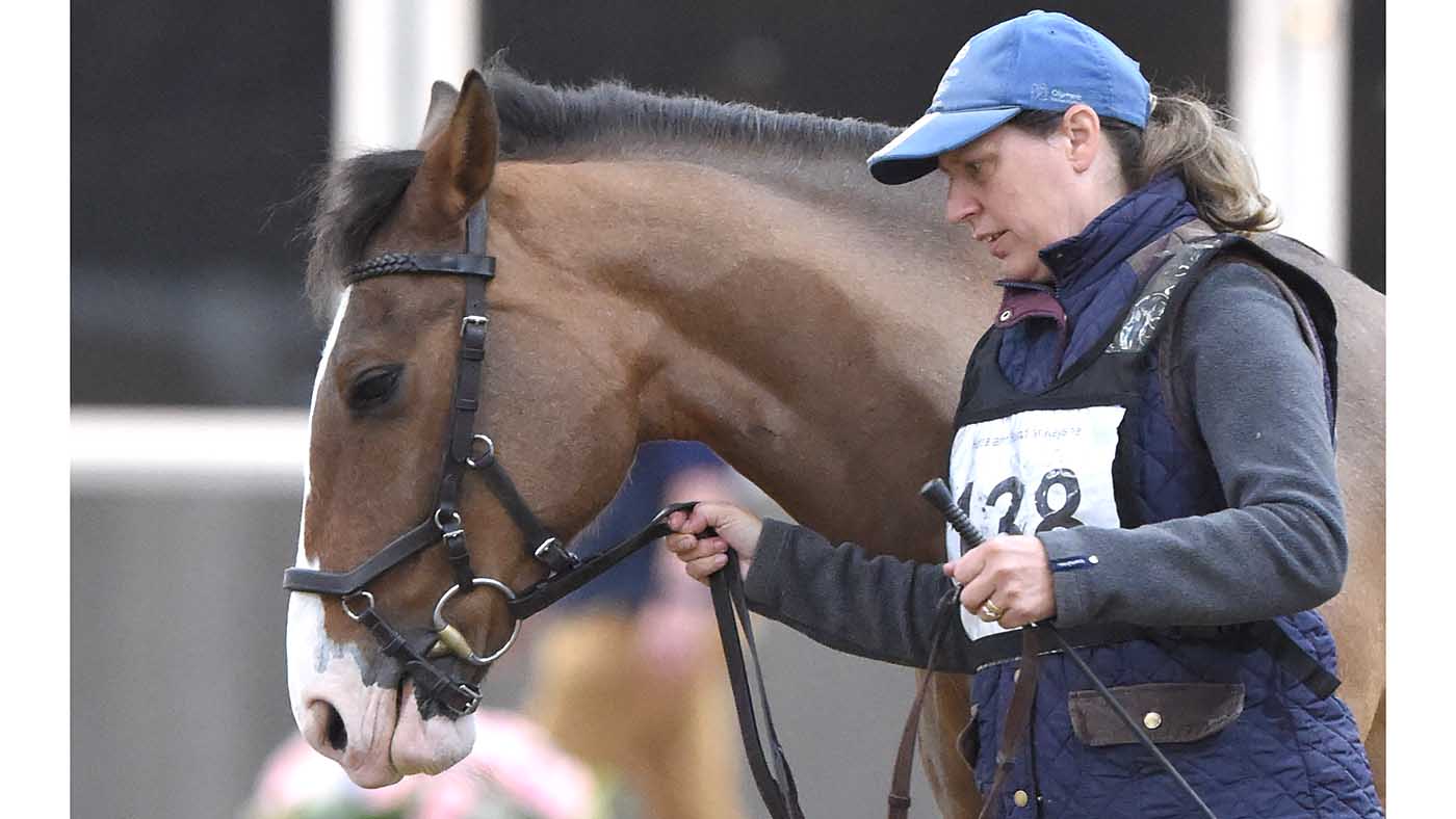 138 - claire knight and Mango 70cm winner H &amp;amp; H Festival of Eventing Sat 25th to Mon 27th May 2019 at Keysoe Spring Showing Show Monday 29th Aprill 2019 Keysoe (folder)