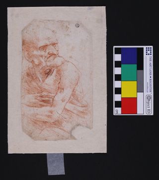 This is Leonardo Da Vinci's "Uomo della Bitta," one of six drawings by the master recently revealed to host complex microbiomes.