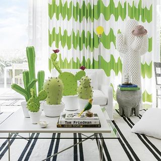 Curtains on window with glass window and cactus