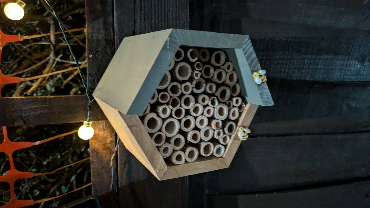 200 photos pixel 9 vs pixel 8a - low light on pixel 8a
