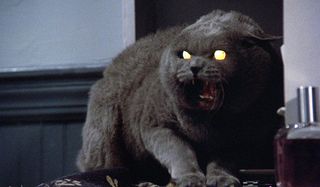 Original Pet Sematary movie cat hissing