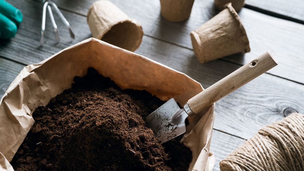 What can I use instead of peat moss?