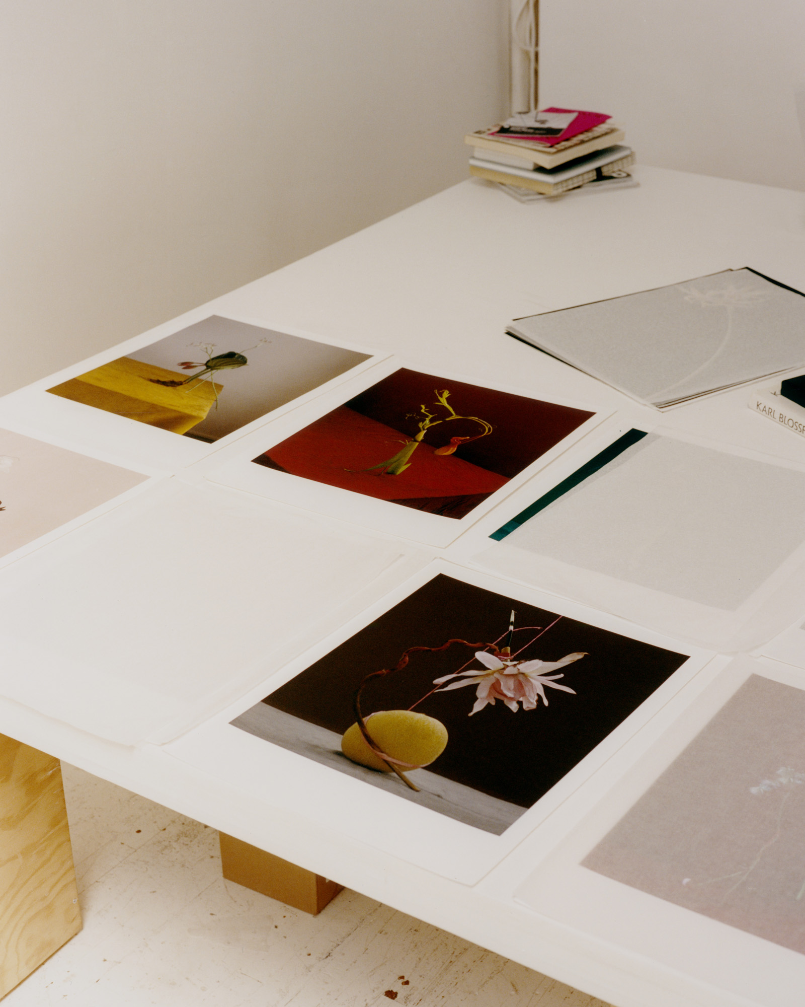 Dominik Tarabanski studio