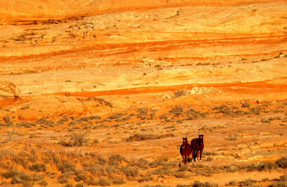 Navajo Nation to receive $554 million settlement from U.S. government