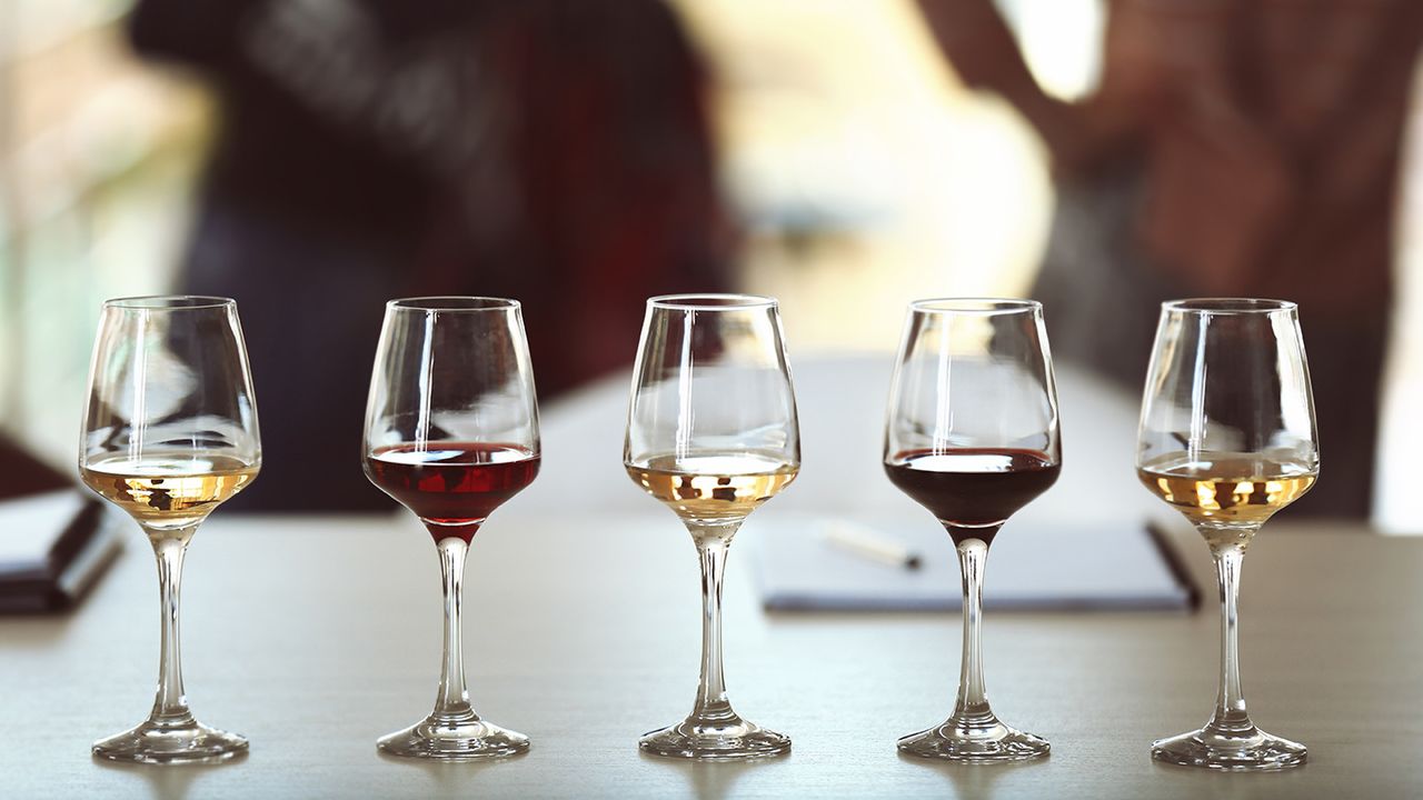 Many glasses of different wine in a row on a table. Tasting wine concept