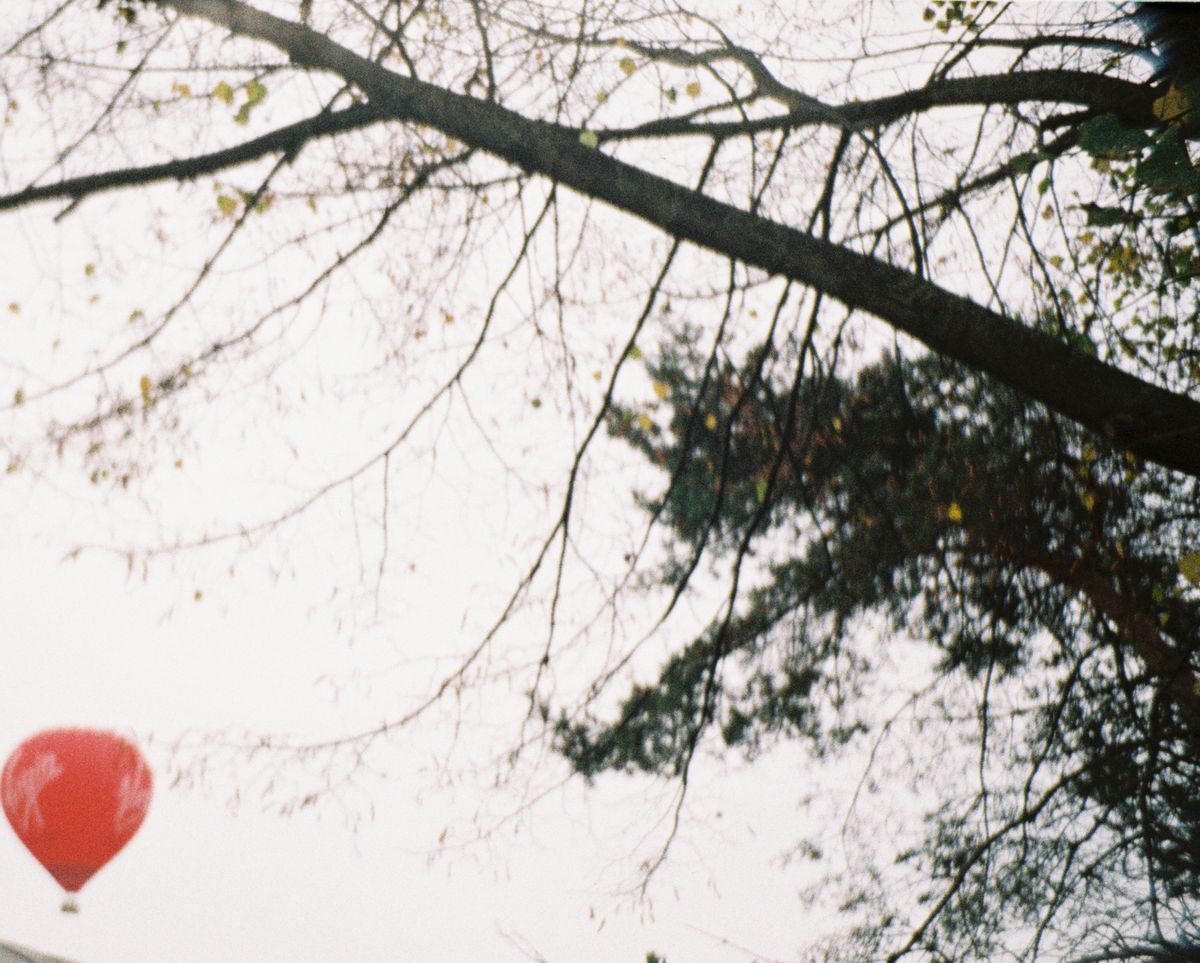 A photo of a hot air balloon behind a tree, taken on a Lomography Lomomatic 110 film camera