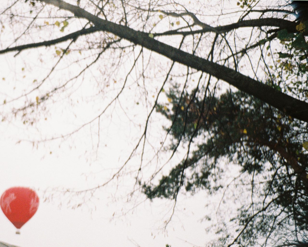 A photo of a hot air balloon behind a tree, taken on a Lomography Lomomatic 110 film camera