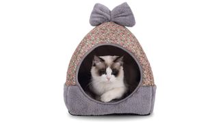 cute cat bed