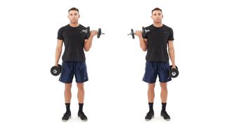 Arm curl with dumbbells