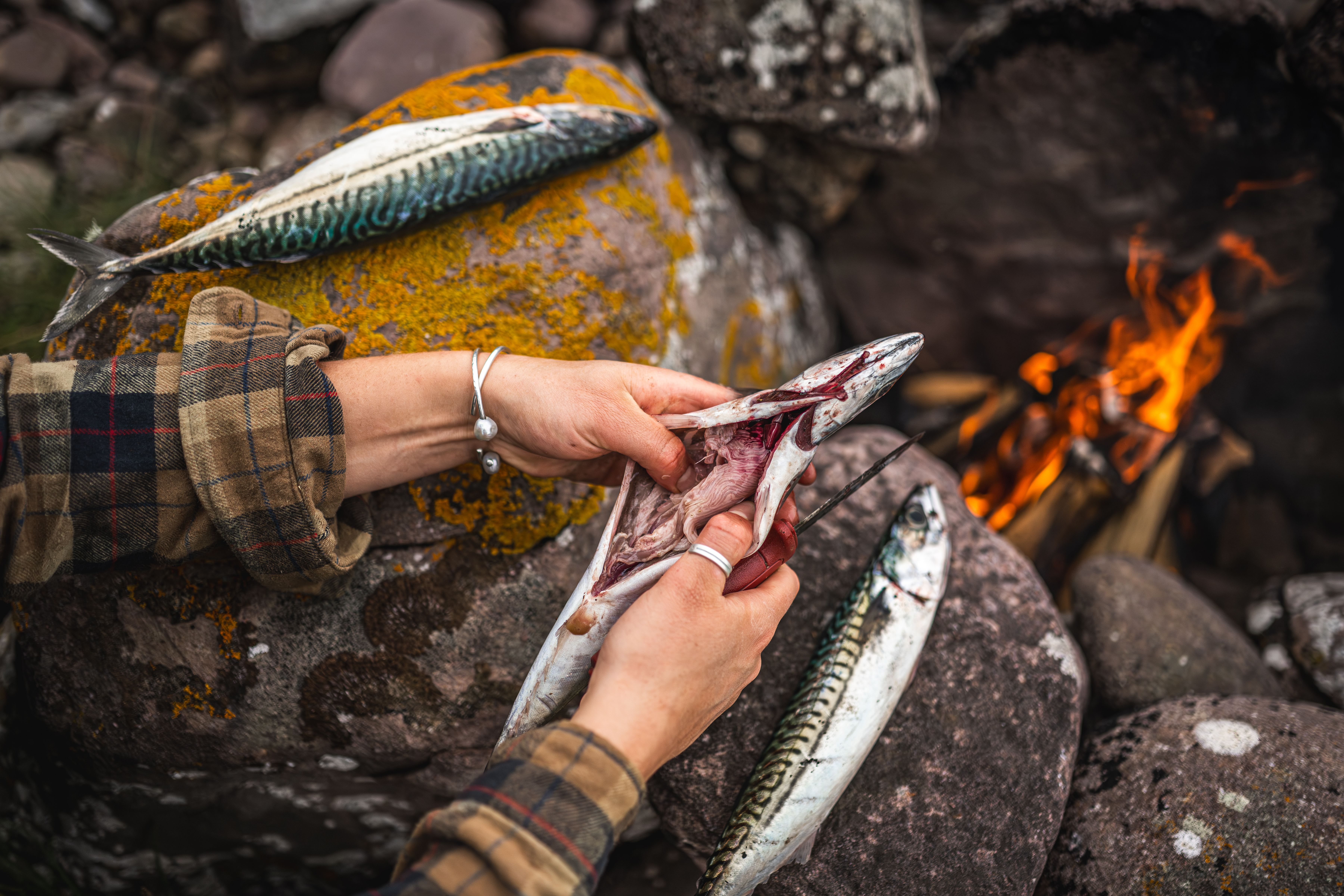 Rvival Scottish bushcraft