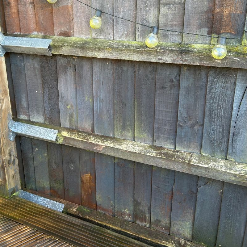 Fence panel after cleaning green algae away