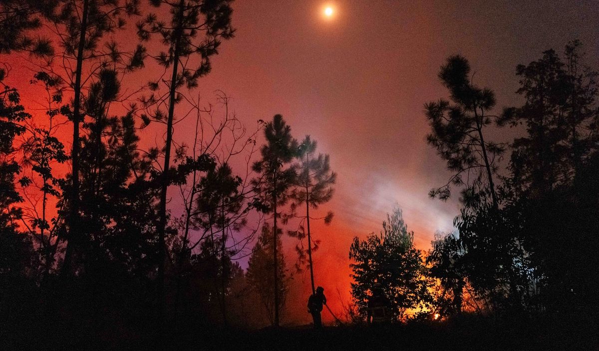 'The biggest El Niño event since the 1870s': 'Super' El Niño is now the most likely scenario by the end of this year ‪—‬ and the humanitarian cost could be huge