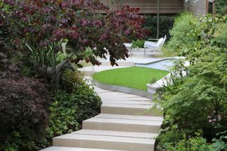 shade garden ideas: pathway and lawn