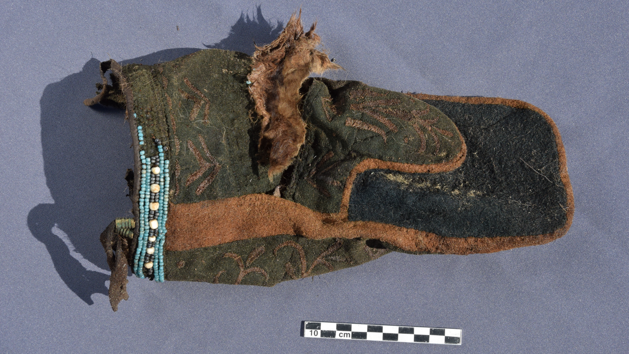 images of artifacts preserved in permafrost