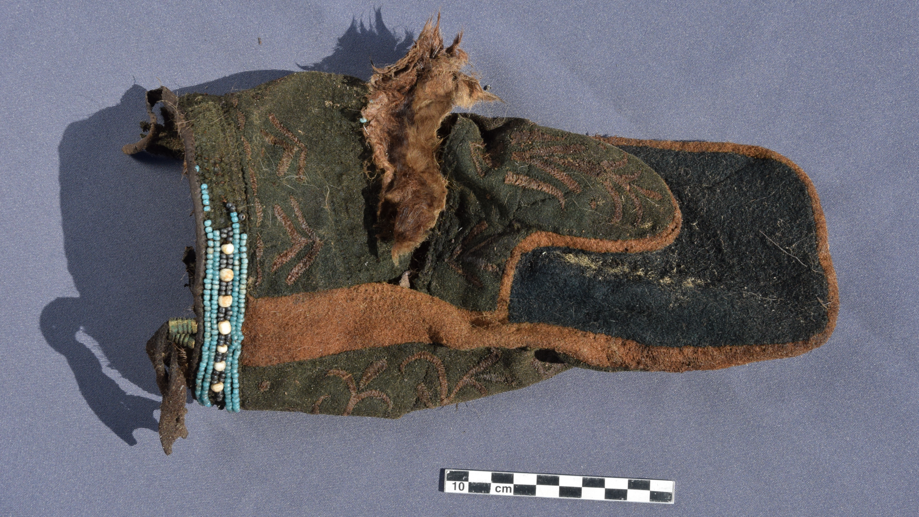 images of artifacts preserved in permafrost