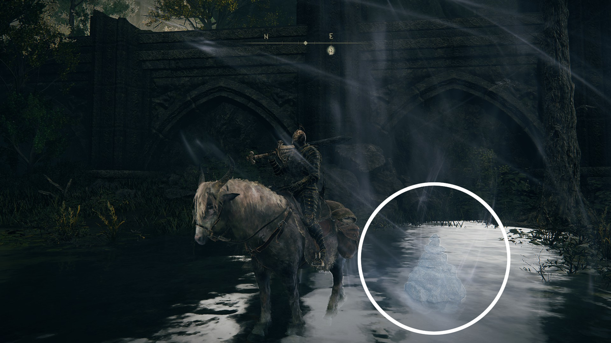 An image displaying the appearance of Sealed Spiritsprings in Elden Ring: Shadow of the Erdtree.