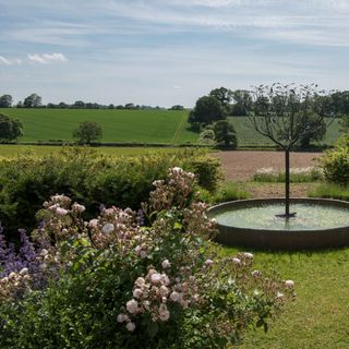 A blooming garden with a fountain