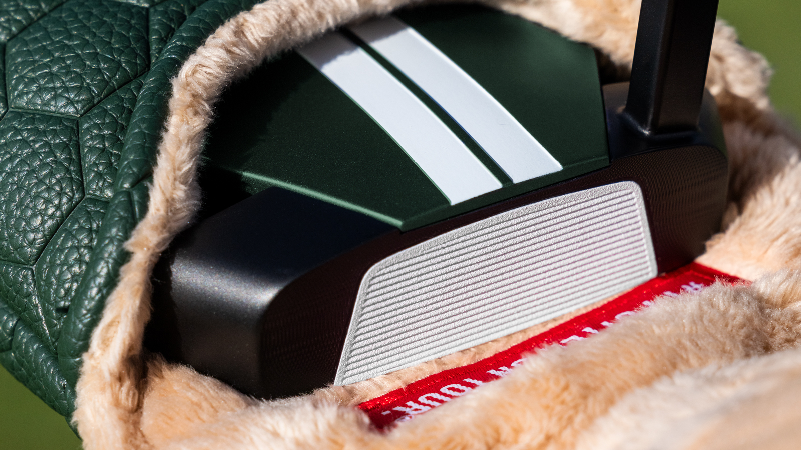 A close-up of the Odyssey TRTL putter