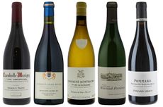 Burgundy 2020 premier cru