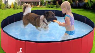 Wimypet foldable dog swimming pool