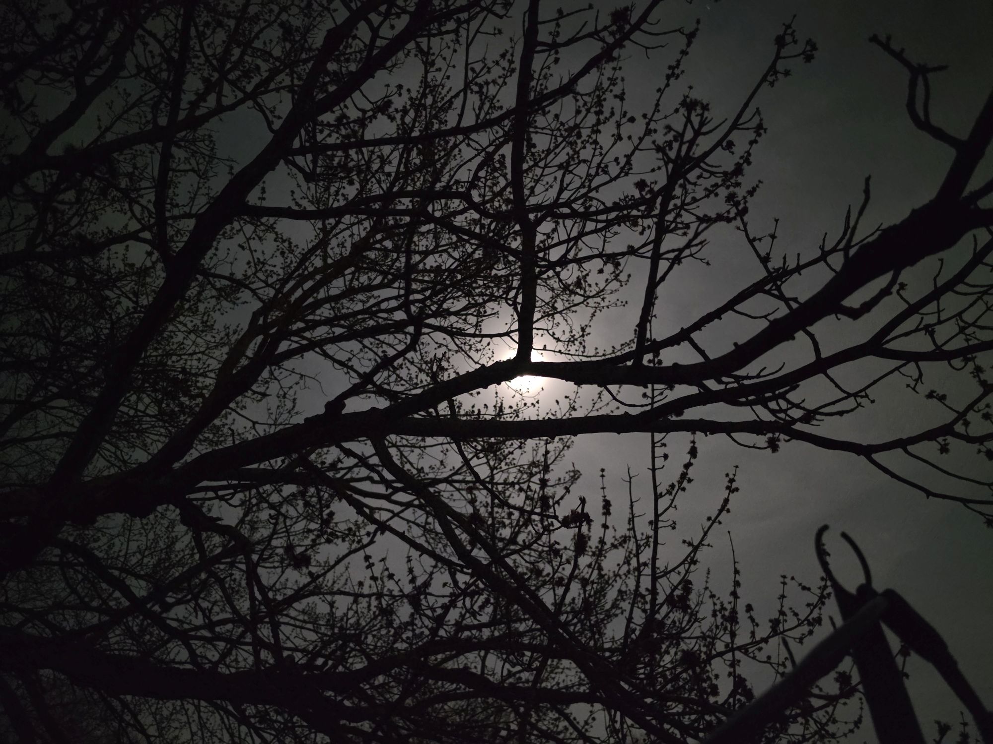 Samsung Galaxy S26 Ultra Night Mode low light sample.