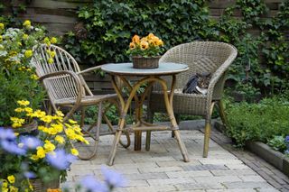 A small garden patio with wicker outdoor chairs surrounded by greenery and yellow flowers.