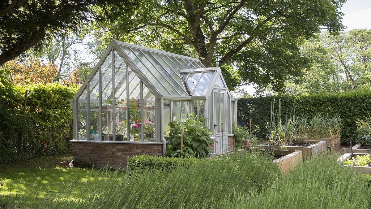 learn-how-to-clean-a-greenhouse-4-essential-steps