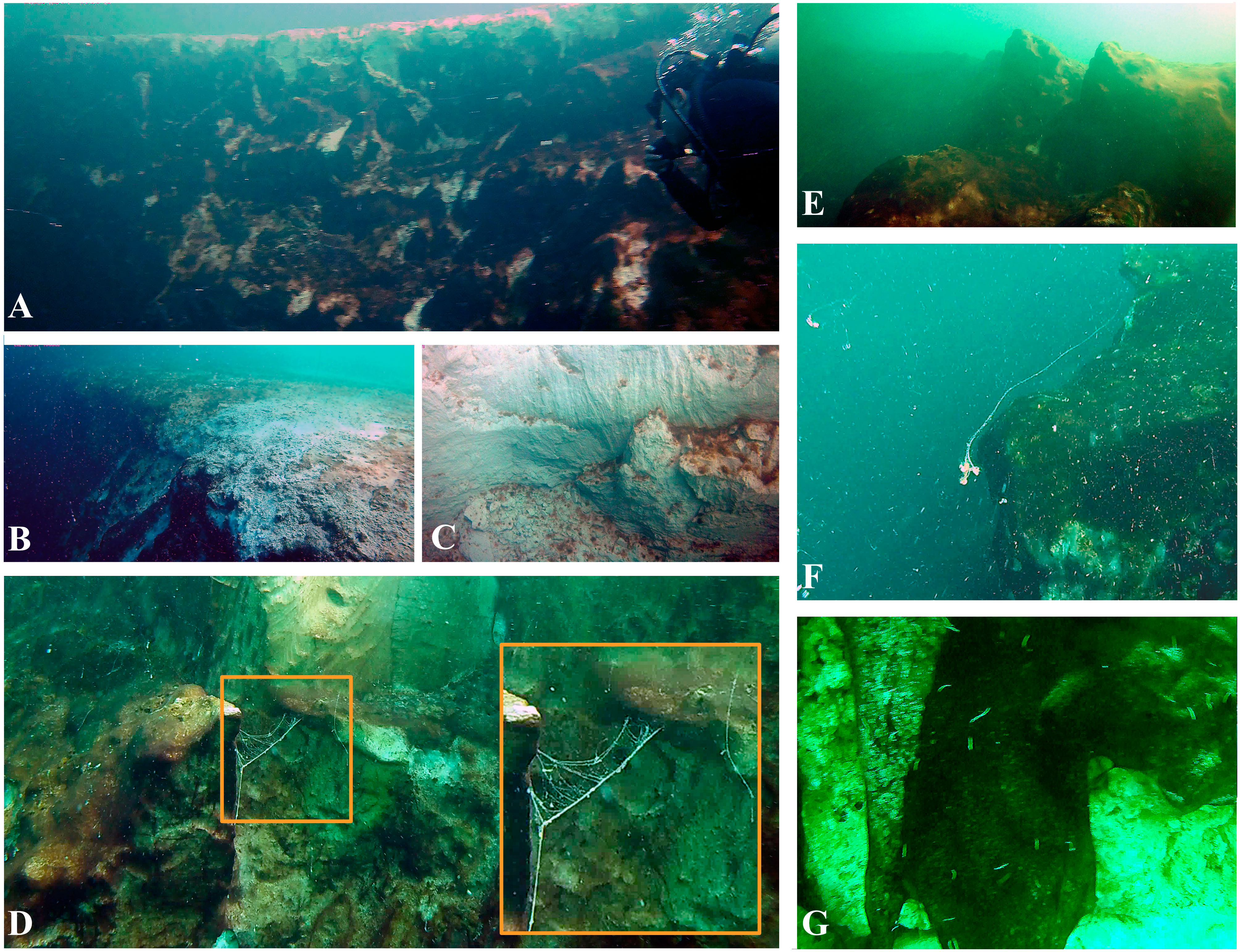 Unterwasserfotos, die das Innere des Taam ja' Blue Hole zeigen